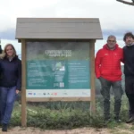 Comprometidos Grupal