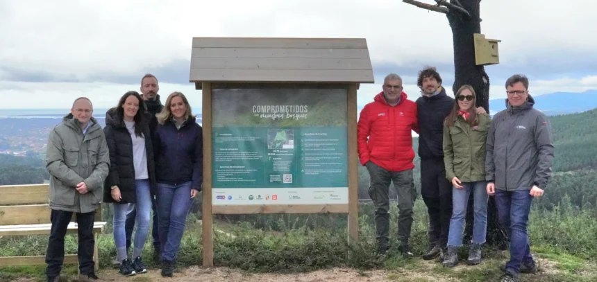 Comprometidos Grupal