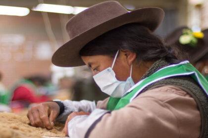 Conoce el proyecto de KUNA que convirtió el rescate de la vicuña en un caso de éxito peruano