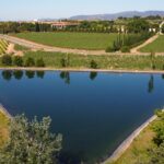 Proyecto “Innovación en el ciclo del agua para la reutilización sostenible en viticultura” - Familia Torres