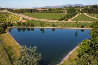 Proyecto “Innovación en el ciclo del agua para la reutilización sostenible en viticultura” - Familia Torres