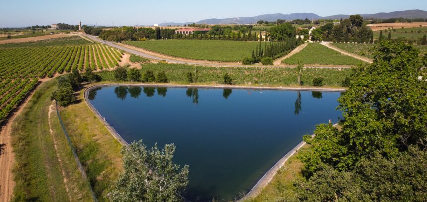 Proyecto “Innovación en el ciclo del agua para la reutilización sostenible en viticultura” - Familia Torres