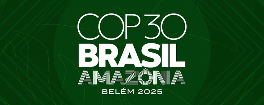 Fundación Naturgy y el Capítulo Español del Club de Roma debaten con expertos sobre las principales conclusiones de la COP30 de Brasil