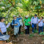 Lideresas productoras de cacao impulsan la conservación ambiental y el progreso de sus comunidades
