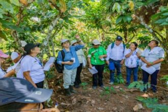 Lideresas productoras de cacao impulsan la conservación ambiental y el progreso de sus comunidades