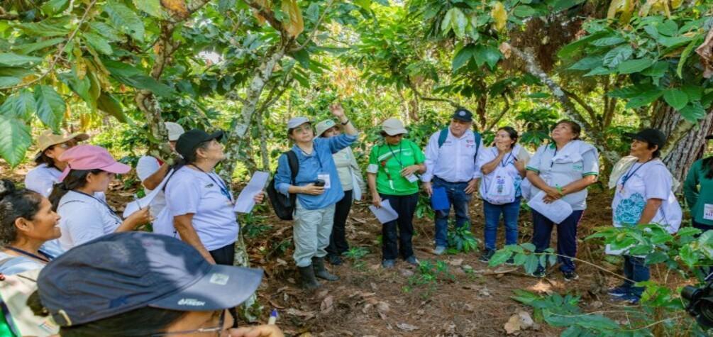 Lideresas productoras de cacao impulsan la conservación ambiental y el progreso de sus comunidades