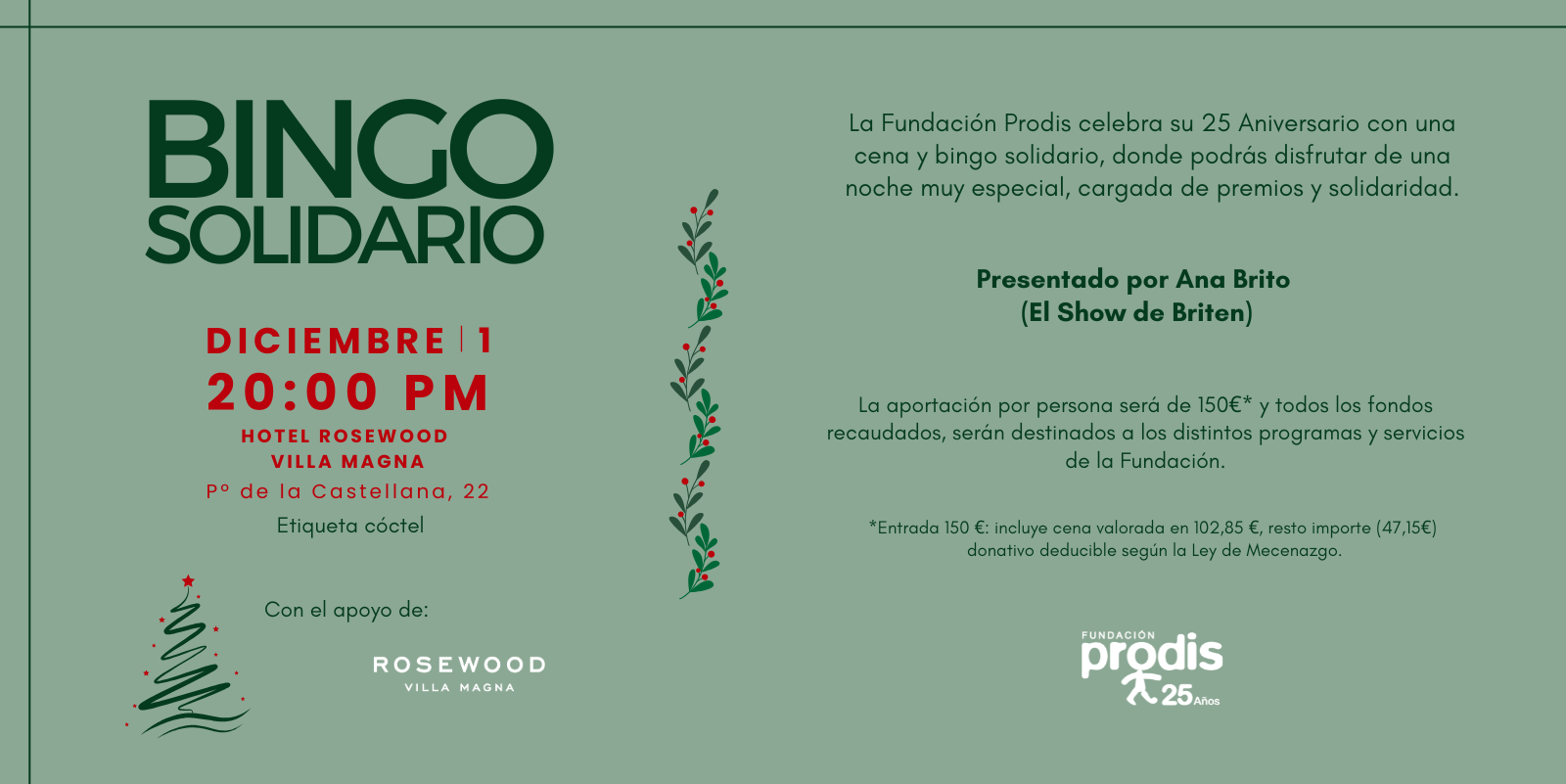 Bingo Solidario de Fundación Prodis