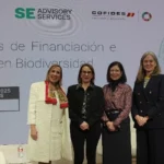 Raquel Espada (SE Advisory Services), María Jesús Rodríguez de Sancho (MITECO), Ángela Pérez (Cofides) y Patricia Gabeiras (Spainsif)