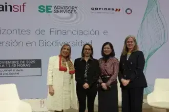 Raquel Espada (SE Advisory Services), María Jesús Rodríguez de Sancho (MITECO), Ángela Pérez (Cofides) y Patricia Gabeiras (Spainsif)