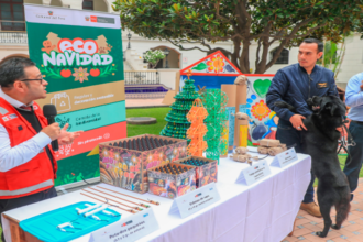 Minam impulsa "Más amor, menos ruido" por unas fiestas sin pirotecnia ni contaminación