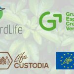 SEO/BirdLife y el Grupo Español para el Crecimiento Verde han firmado un acuerdo de colaboración, enmarcado en el proyecto LIFE Custodia