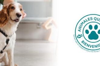 Grupo Albia permite la presencia de animales de compañía en las despedidas