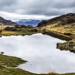 Minam publica proyecto de orientaciones para el diseño y operación de créditos de biodiversidad en el Perú