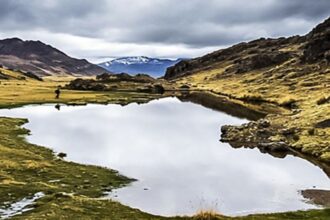Minam publica proyecto de orientaciones para el diseño y operación de créditos de biodiversidad en el Perú