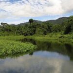 Perú fortalece su acción climática en beneficio de los ecosistemas y la ciudadanía