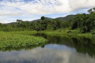 Perú fortalece su acción climática en beneficio de los ecosistemas y la ciudadanía