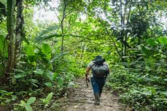 Programa Bosques conservó cerca de 1.8 millones de hectáreas de bosques con mecanismo de incentivos y planes de negocios