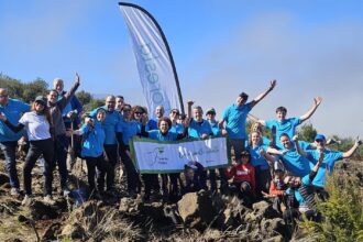 Voluntarios de CaixaBank en la actividad de reforestación Tenerife Renace - Imagen cedida por Voluntariado CaixaBank