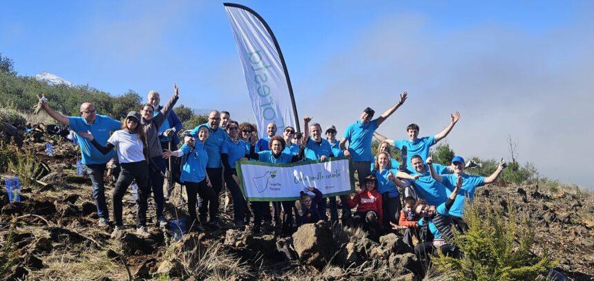 Voluntarios de CaixaBank en la actividad de reforestación Tenerife Renace - Imagen cedida por Voluntariado CaixaBank