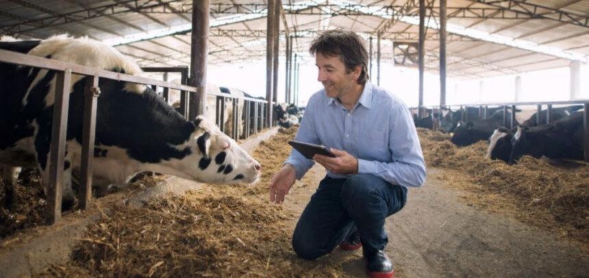 Ganador del Premio Emprendimiento Verde en la VI edición de los Premios +50 Emprende por su proyecto Agrolinera - Imagen cedida por Fundación Endesa