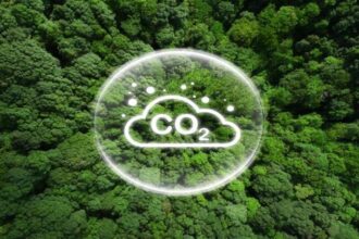 El potencial del campo peruano para reducir emisiones de carbono