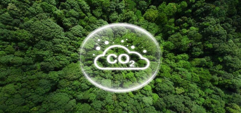 El potencial del campo peruano para reducir emisiones de carbono