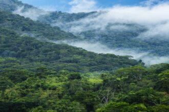 Minam inicia elaboración del reporte 2025 sobre avances y metas del país frente al cambio climático