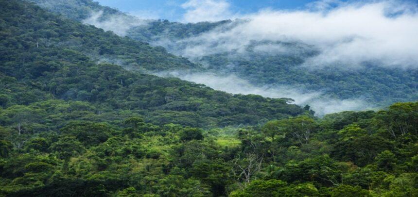 Minam inicia elaboración del reporte 2025 sobre avances y metas del país frente al cambio climático