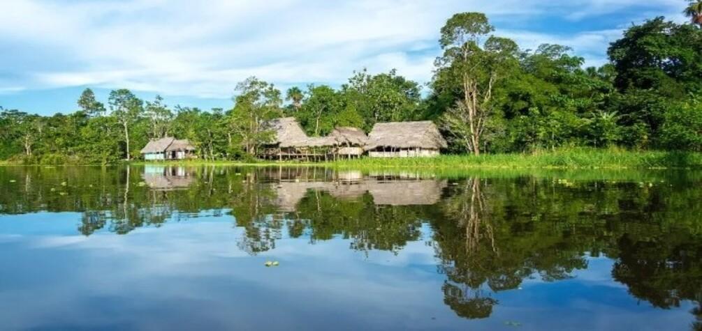 Minam liderará registro de proyectos de créditos de biodiversidad para proteger los ecosistemas del país