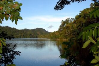 Perú amplía métodos para reducir gases de efecto invernadero mediante el manejo de residuos