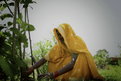 Emrati, residente en Khajuraha Bujurg, recolectando su cosecha. © ActionAid