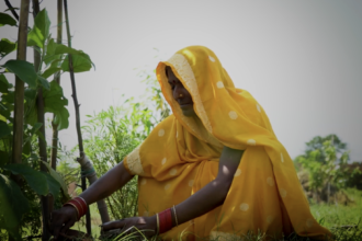 Emrati, residente en Khajuraha Bujurg, recolectando su cosecha. © ActionAid