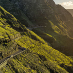 Imagen cedida por BBVA