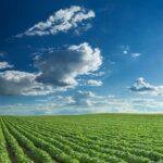 El agro peruano apuesta por la tecnología para proteger el 80% del agua frente a El Niño Costero