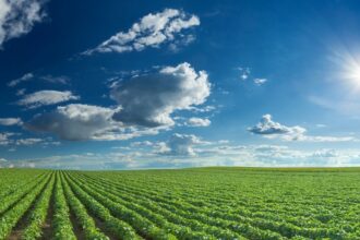 El agro peruano apuesta por la tecnología para proteger el 80% del agua frente a El Niño Costero