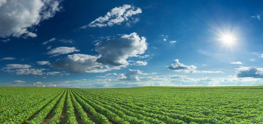 El agro peruano apuesta por la tecnología para proteger el 80% del agua frente a El Niño Costero