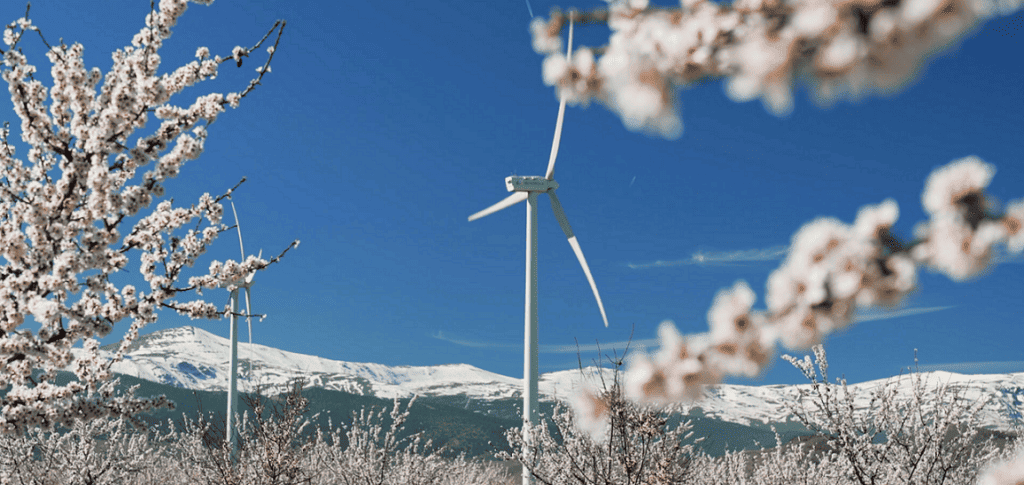 Cada parque eólico o planta solar cuenta con modelos de MeteoFlow adaptados a sus características - Imagen cedida por Grupo Iberdrola