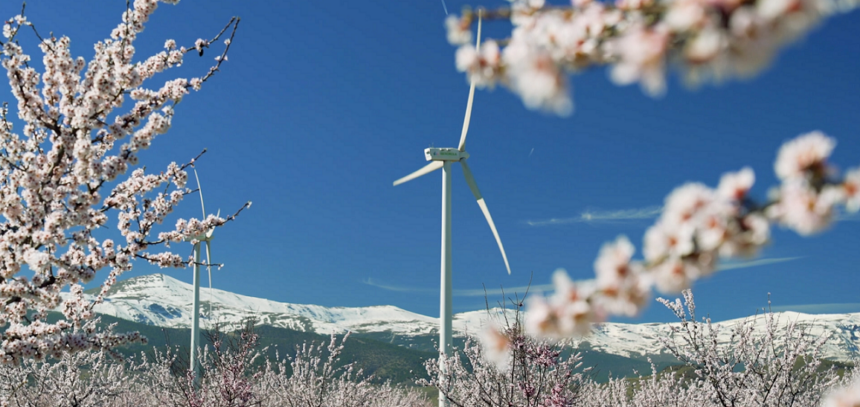 Cada parque eólico o planta solar cuenta con modelos de MeteoFlow adaptados a sus características - Imagen cedida por Grupo Iberdrola