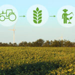 BBVA apuesta por la digitalización con Inteligencia Artificial en la agricultura sostenible - Imagen de Stock (atlascompany en Freepik.es)