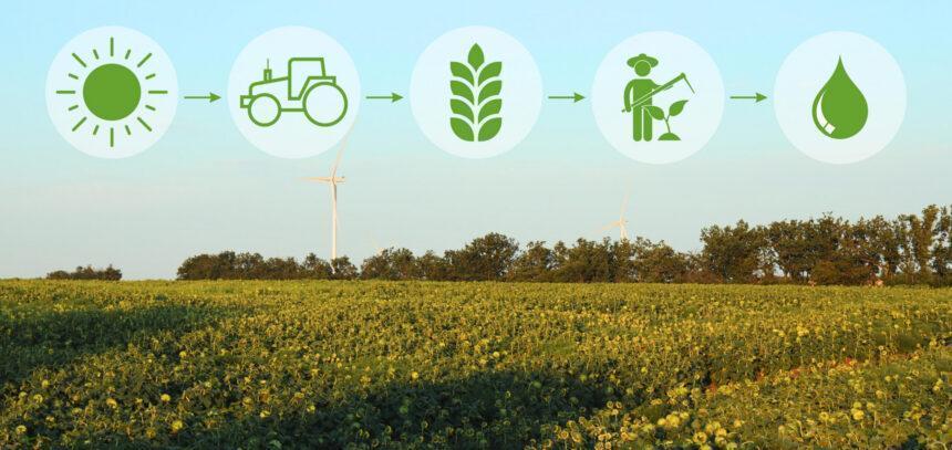 BBVA apuesta por la digitalización con Inteligencia Artificial en la agricultura sostenible - Imagen de Stock (atlascompany en Freepik.es)