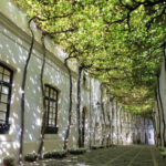 González Byass ha reducido un 22% sus emisiones, el 64% del viñedo está certificado como sostenible y cinco bodegas cuentan con el sello SWfCP