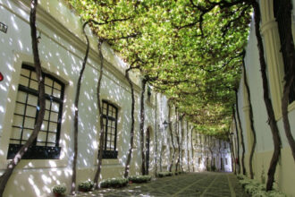 González Byass ha reducido un 22% sus emisiones, el 64% del viñedo está certificado como sostenible y cinco bodegas cuentan con el sello SWfCP