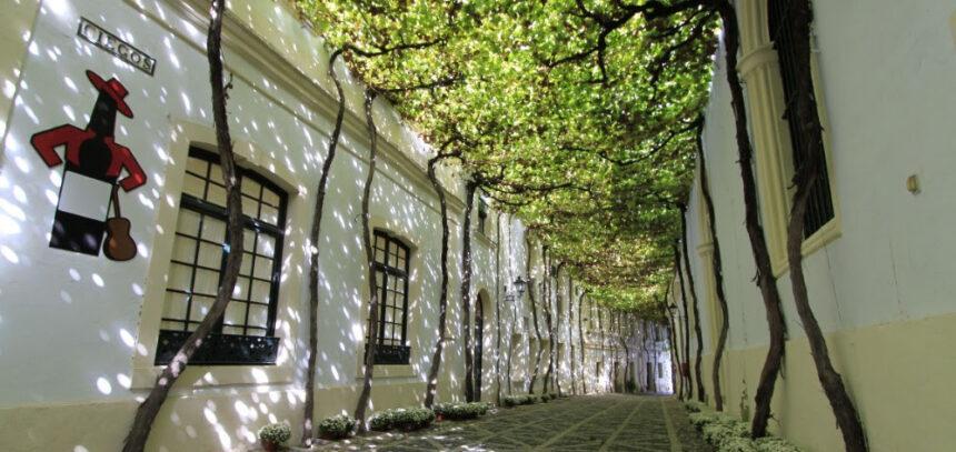 González Byass ha reducido un 22% sus emisiones, el 64% del viñedo está certificado como sostenible y cinco bodegas cuentan con el sello SWfCP