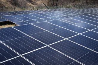 Imagen de Waya Guajira