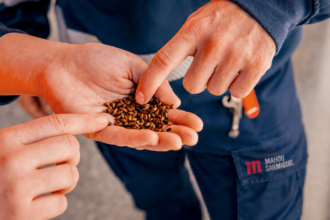 Malta procedente de cebada cultivada bajo prácticas de bajas emisiones - Mahou San Miguel