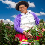 Mujeres peruanas sostienen la reactivación de la microeconomía