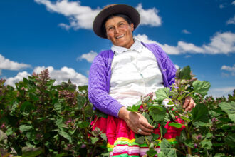 Mujeres peruanas sostienen la reactivación de la microeconomía