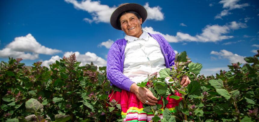 Mujeres peruanas sostienen la reactivación de la microeconomía