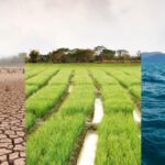 Perú impulsa la restauración de 19 millones de hectáreas para un agro más sostenible