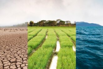 Perú impulsa la restauración de 19 millones de hectáreas para un agro más sostenible